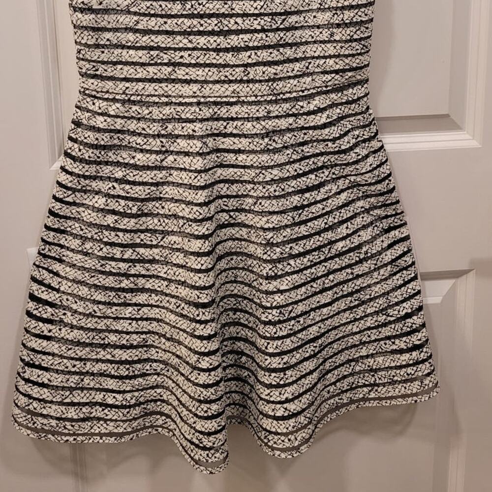 Parker Black & White Mesh Panel Fit & Flare Dress - Picture 5 of 7